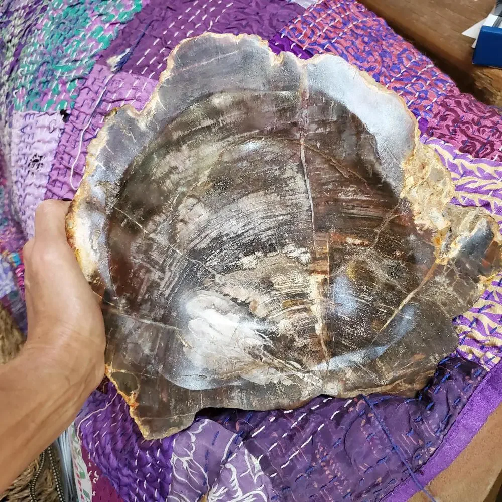 13lbs+ Red Brown XL Petrified Wood Fossilized Bowl 6210 grams